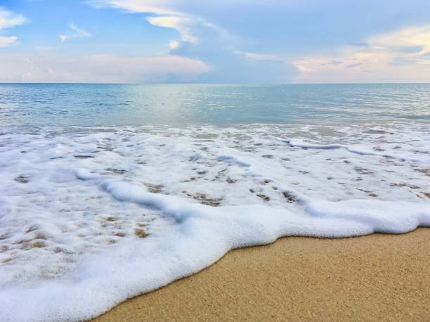 istock Beautiful and peaceful sea beach 1215337969