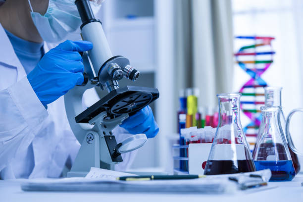 istock Female researcher doing research at the laboratory. 1215338213