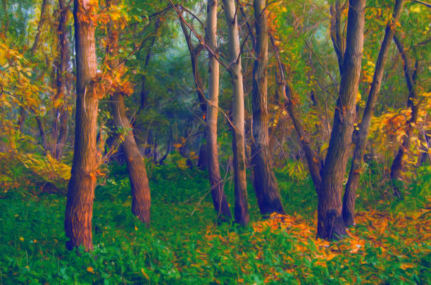 Autumn forest with yellow leaves and bright blue sky.