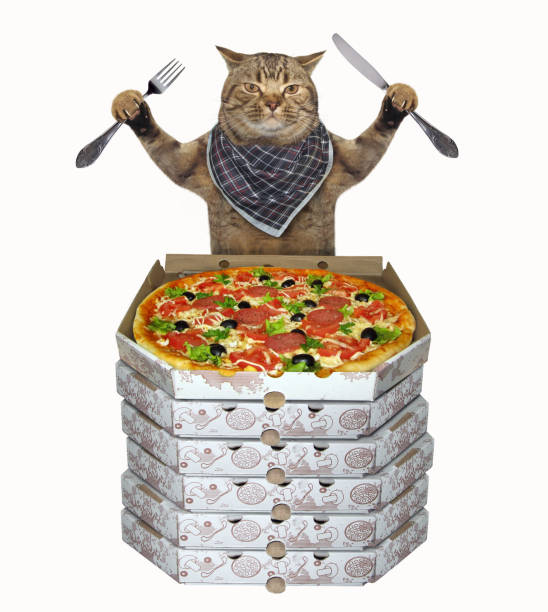 istock Cat near stack of boxes with pizza 2 1215340212
