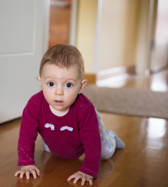 istock Baby girl crawling 1215340427