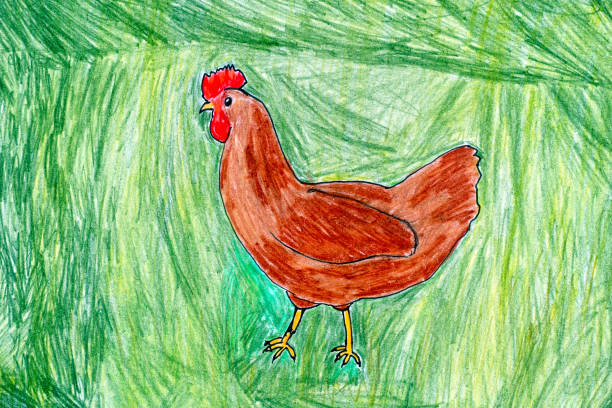 курица на зеленом фоне. карандаш ручной рисунок. - childs drawing stock illustrations