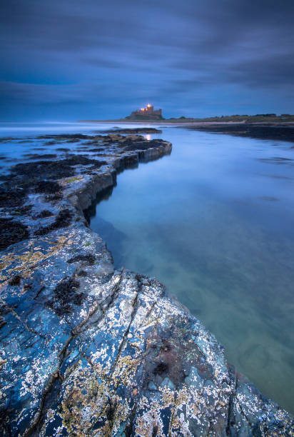 North Sunderland beach in Northumberland with Bamburgh Castle in the far distance.  In the foreground are flocks of seagulls on the rocks at low tide.