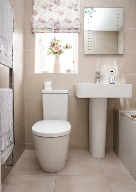istock A contemporary home bathroom interior 1215343081