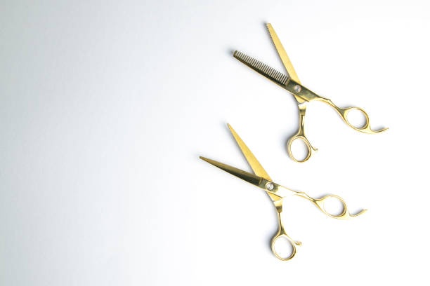 istock Open scissors for haircut isolated on a white background 1215343166