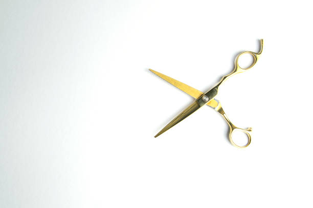 istock Open scissors for haircut isolated on a white background 1215343174