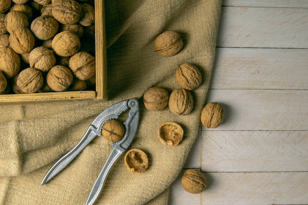 istock Walnuts in a wooden box, which stands on an old rustic sack, also scattered on a white table nearby is a cracker of walnut 1215343663