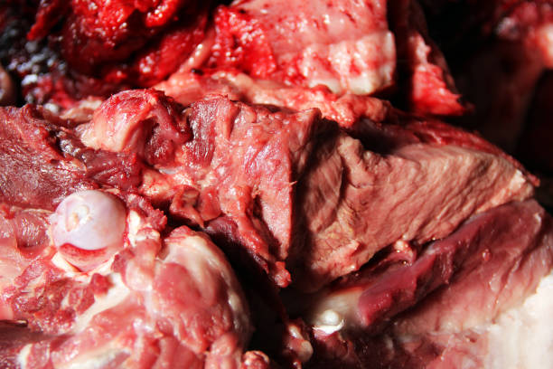 istock Fresh meat. Meat and fat close-up. Bones. Pork. Background 1215345013