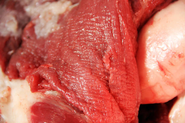 istock Fresh meat. Meat and fat close-up. Bones. Pork. Background 1215345148