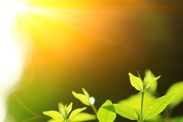 istock New beginning in the circle of life. 1215346082