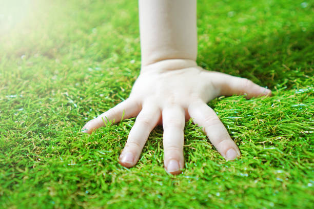 istock Artificial turf background. Baby hand on the soft artificial grass. 1215346103