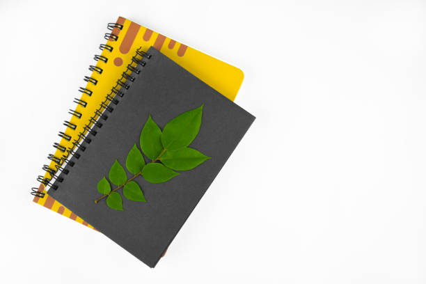 istock Green leaf on top of two different colored paper diary before a yellow paper background 1215346229