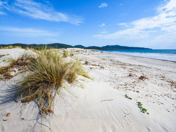 istock Porto Pino beach with white dunes 1215347736