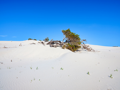 White sand dunes in Sant'Anna Arresi in Sardinia