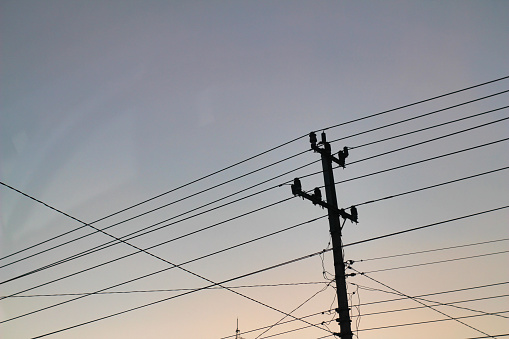 Utility pole supporting overhead power line cables against blue sky as copy space