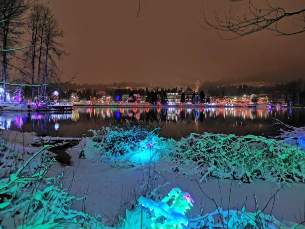 istock Christmas lights at night 1215354560