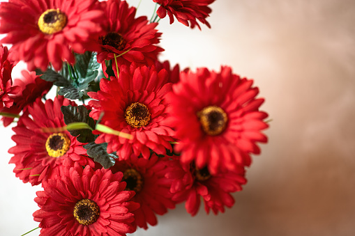 Plants and Flowers: artificial plants - a bunch of red gerberas