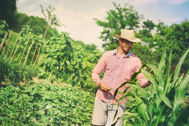 istock Happy farmer on his farm 1215355274