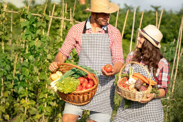istock Farmers couple with organic vegetables 1215356384