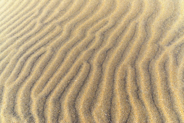 istock Beautiful sand structure in the Sahara desert, sand dunes, macro 1215358195