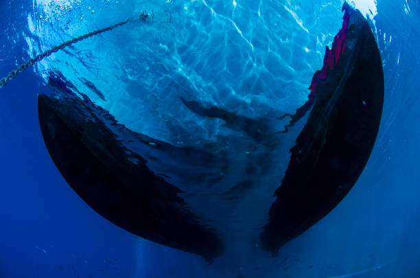 istock SEA AND HULL BOAT UNDERWATER CATAMARAN 1215358248