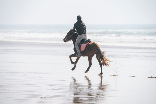 A modern man in summer clothes enjoys riding a horse on a beautiful sandy beach at sunset. Selective focus . High quality photo