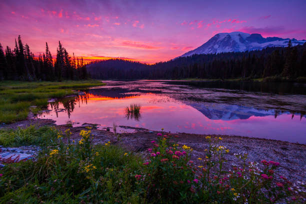 istock Sunset at Mount Rainier National Park 1215362525