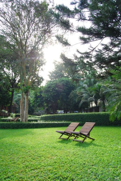 The morning sun shines on the wooden bed in the large garden.