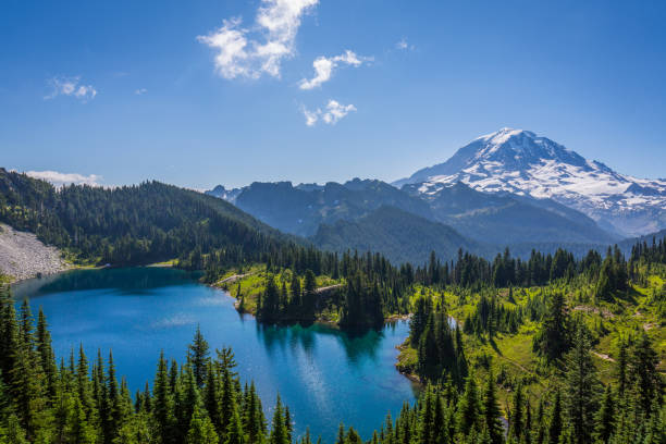 istock Tolmie Peak Trail, Mount Rainier, Summer 1215366787