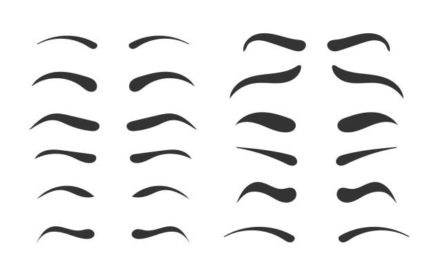 Various shapes eyebrows. Various shapes, angles and thin eyebrows. Makeup Tips Eyebrow shaping for women. The classic type and different thickness of the Pruning. Vector illustration, EPS 10. eyebrow stock illustrations