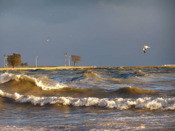 istock Lake Michigan 49 1215370491