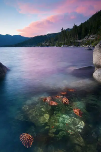 Lake Tahoe is a large freshwater lake in the Sierra Nevada of the United States.