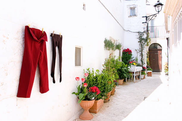 istock Whitewashed patio with flowers and laundry 1215370758