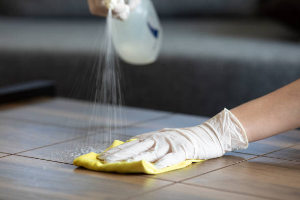 istock Female hands cleaning desk  with disinfectant wipe. 1215370881