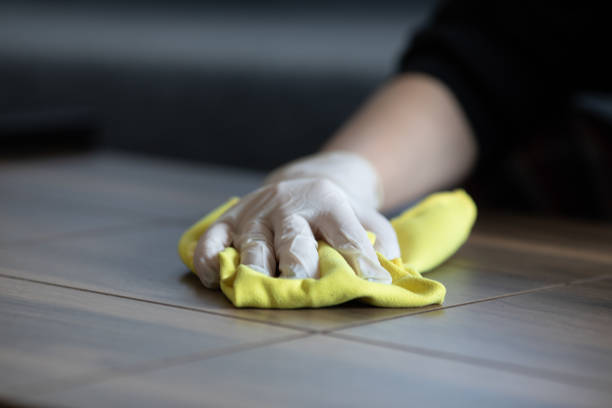istock Female hands cleaning desk  with disinfectant wipe. 1215373645