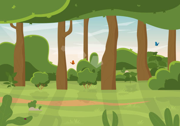 풍경 : 여름 녹색 숲과 푸른 하늘. - glade branch vector landscape stock illustrations