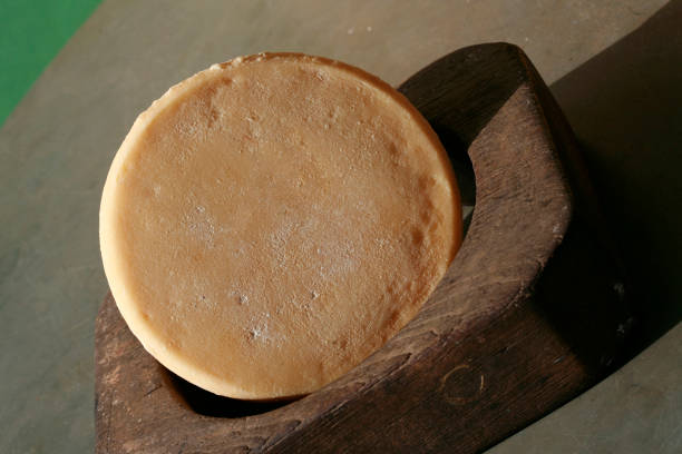 istock traditional handmade cheese of Canastra 1215375624