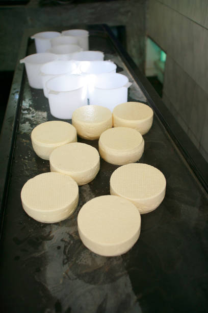 istock traditional handmade cheese of Canastra 1215375740