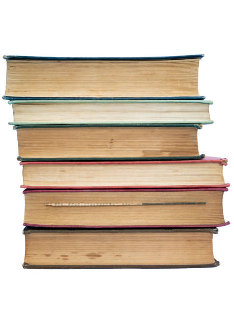 istock Pile of Books 1215379481