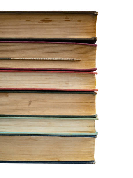 istock Pile of Books 1215379533