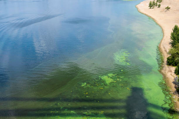 istock Polluted green river water. Toxic bacteria and harmful waste pollute water. Ecological problems. 1215382091