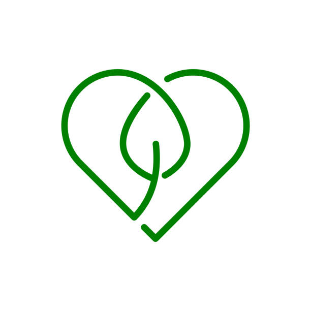 ilustraciones, imágenes clip art, dibujos animados e iconos de stock de signo de corazón y hoja. símbolo de la naturaleza del amor. icono orgánico. signo biodegradable. - the nature conservancy