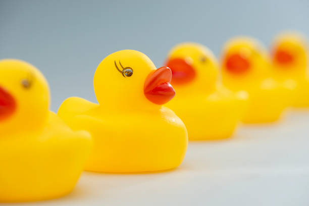 istock Line of Yellow Rubber Ducks in a Row 1215389794