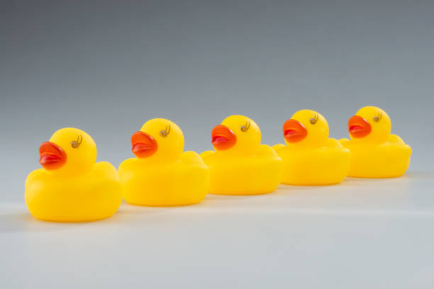istock Line of Yellow Rubber Ducks in a Row 1215389795