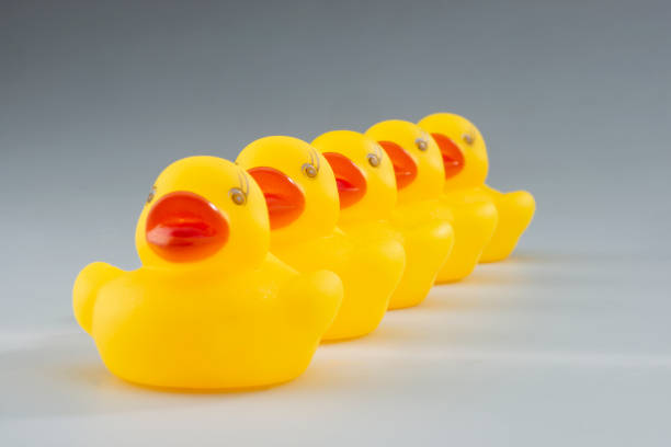 istock Line of Yellow Rubber Ducks in a Row 1215389801