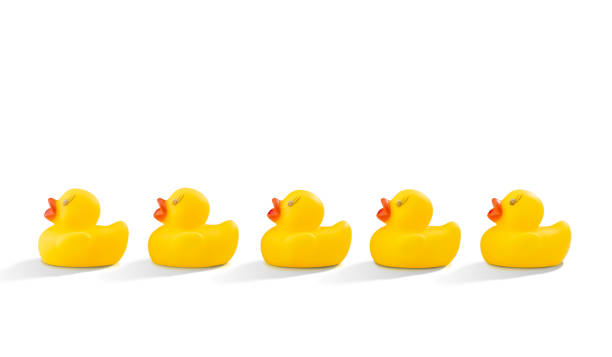 istock Line of Yellow Rubber Ducks in a Row on a White Backgound 1215389825