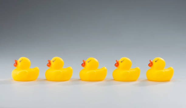 istock Line of Yellow Rubber Ducks in a Row 1215389869