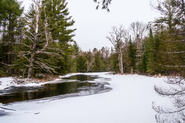 istock Partially frozen river in winter forest 1215394545