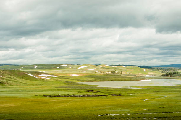 istock Meadow at Yellowstone National Park 1215396239