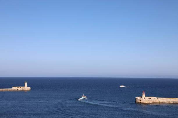 istock Two shades of blue 1215397400